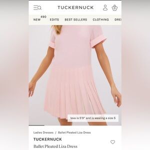 Tuckernuck Pink Ballet Pleated Dress